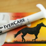 Ivermectin isn’t a cancer miracle drug, but influencers claim otherwise – here’s how to avoid sprinting past scientific evidence