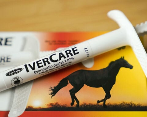 Ivermectin isn’t a cancer miracle drug, but influencers claim otherwise – here’s how to avoid sprinting past scientific evidence
