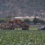 Monterey County farmers battle pests, rising costs and changing wine demand in crop report