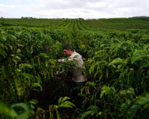 US coffee industry asks Trump to keep tariff exemption on Brazil beans
