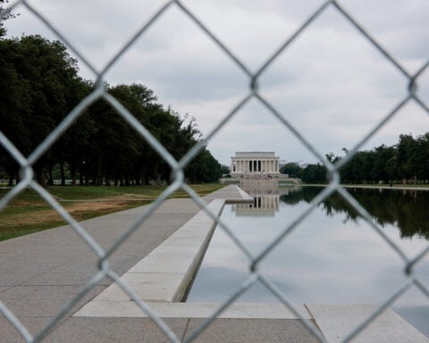 Former US Olympian pleads not guilty in Reflecting Pool vandalism case