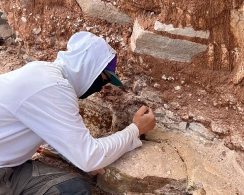 Fossils reveal the earliest animal with a head was also the oldest known ‘righty’