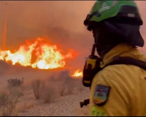 Wildfires in southern Spain kill 11, as authorities fear strong winds could spread blaze