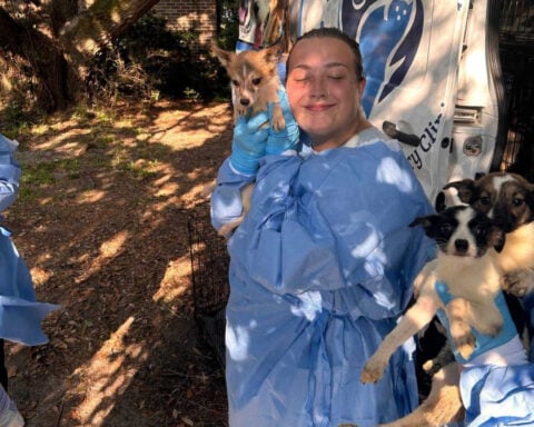 Couple arrested after more than 100 dogs rescued from South Carolina home