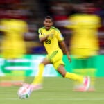Soccer-South Africa World Cup midfielder Adams dies aged 25