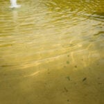 Trump’s DC beautification push navigates troubled waters