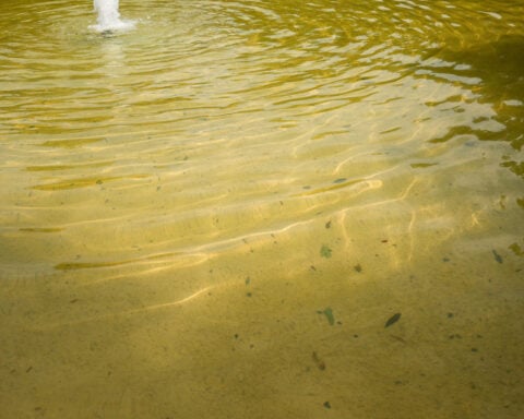 Trump’s DC beautification push navigates troubled waters
