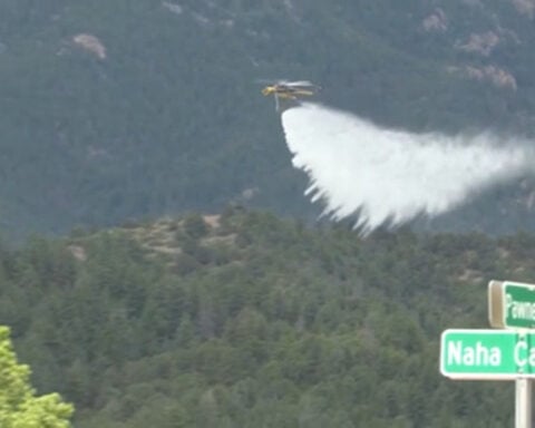 Colorado firefighters get some help from "Goldie" the goat while fighting Rock Creek Fire