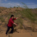 China’s 'Green Great Wall' tames desert growth, but scientists warn the fight is not over