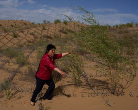 China’s 'Green Great Wall' tames desert growth, but scientists warn the fight is not over