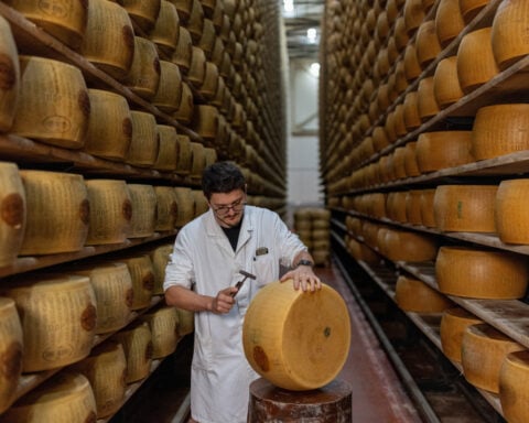 Extreme heat threatens Italy's Parmesan heartland