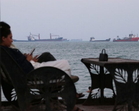 Trump offers US protection in the Strait of Hormuz for a 20% fee. How would that work?