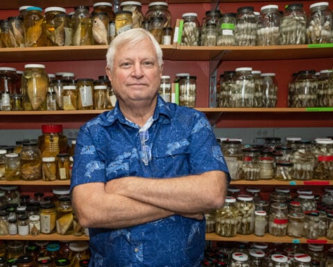 American marine biologist and conservationist shot dead in the Philippines