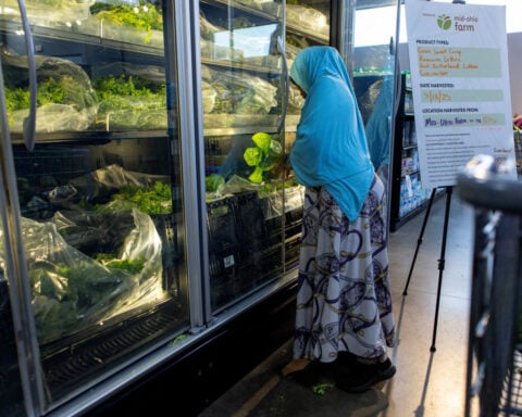 US small-business sentiment rebounds in June, inflation a major worry for many