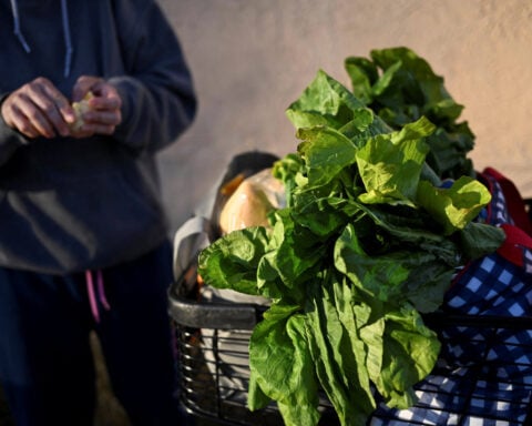 FDA examines produce items in US cyclosporiasis outbreak as cases rise