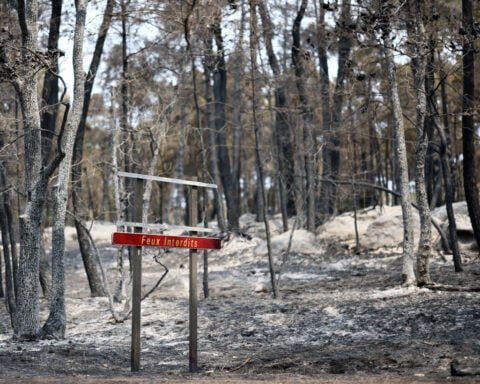 Firefighters battle Fontainebleau forest fire near Paris as two arrested
