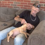 Kentucky couple working to rescue forgotten animals in rural areas