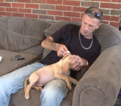 Kentucky couple working to rescue forgotten animals in rural areas