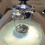 Meteorite that crashed into a New Jersey home contains ‘extraterrestrial’ amino acids