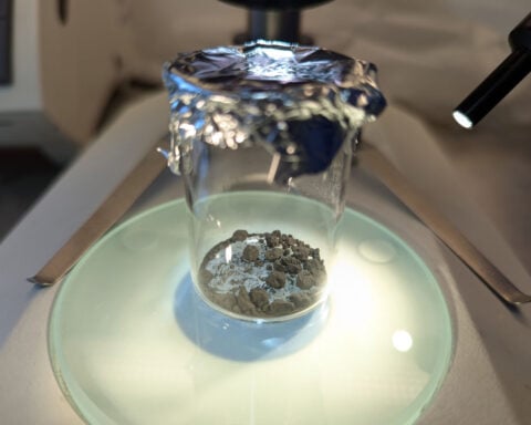 Meteorite that crashed into a New Jersey home contains ‘extraterrestrial’ amino acids
