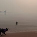 Canadian wildfire smoke turns air hazardous in the US Midwest. Officials say stay inside