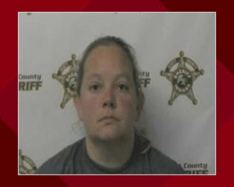 Children, 42 dogs removed from 'very filthy' southern Indiana home; mother arrested