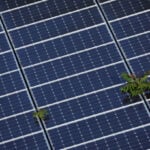 US lawmakers seek a crackdown on solar imports they say dodge duties