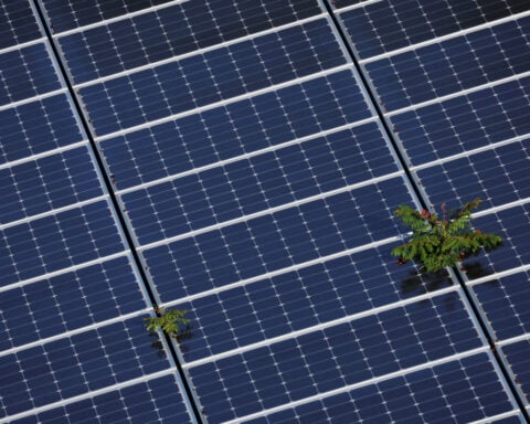 US lawmakers seek a crackdown on solar imports they say dodge duties