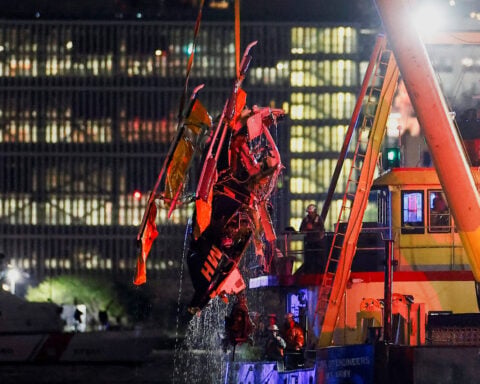 NTSB finds evidence of bird strike before fatal New York helicopter crash