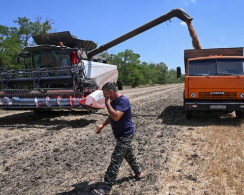 Fuel crisis, attacks in Azov Sea tighten squeeze on Russian farmers