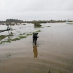 Chile storms kill three, displace hundreds as heaviest rains expected