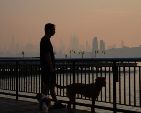 Wildfire smoke kills tens of thousands of people a year. Here's how it attacks the body