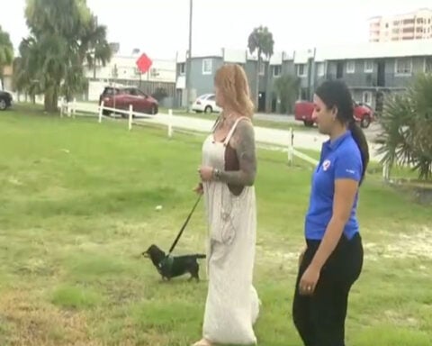 Lost dog found in Port Orange, FL reunited with family after 7 years