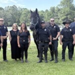 Retired Savannah police horse 'Grant' begins new mission helping veterans through equine therapy