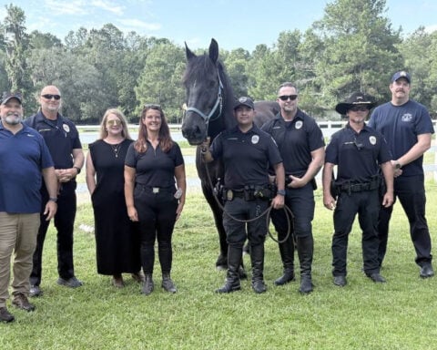 Retired Savannah police horse 'Grant' begins new mission helping veterans through equine therapy