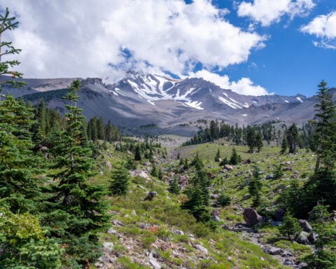 2 federal workers were held hostage at gunpoint for hours in a California forest. A father and son are the accused kidnappers
