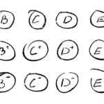 South Carolina is allowing teachers to give zeros again, but the problem with grading goes deeper
