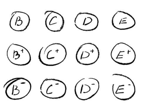 South Carolina is allowing teachers to give zeros again, but the problem with grading goes deeper