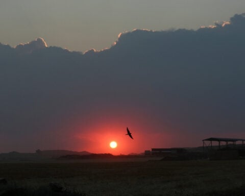 Spain's largest wildfire of the year burns for a fifth day as new heatwave looms
