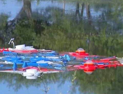 Married couple creates art to address Iowa's water quality concerns