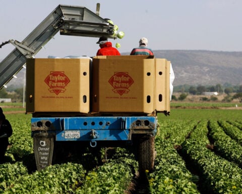 Taylor Farms lettuce remains the focus of cyclosporiasis investigation, despite false positive test