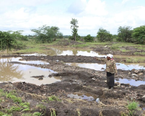 Conflicts and energy shocks threaten progress against global hunger, UN agency head warns
