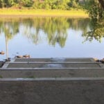 Woman fears algae in water at park is to blame for dog's death