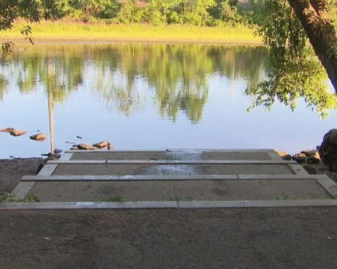Woman fears algae in water at park is to blame for dog's death
