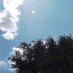 Denver nonprofit offers discounted, free trees to cool underserved neighborhoods