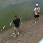 Minnesota DNR logs 202 fish kill reports as heat wave pushes lake temps to 88 degrees