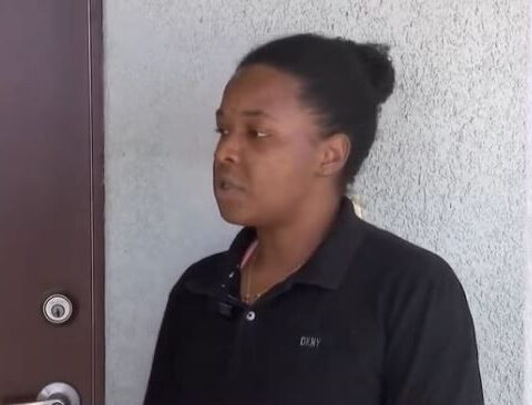 'Tail was bouncing against the door': Family finds nearly 8-foot alligator on front porch