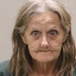 77-year-old postal worker arrested for hoarding cats she collected along her route
