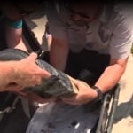 After nearly 250 years, final Revolutionary War cannon fragment recovered from Lake Champlain