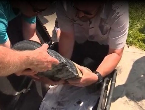 After nearly 250 years, final Revolutionary War cannon fragment recovered from Lake Champlain